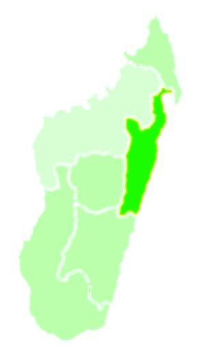 Province de Toamasina à Madagascar